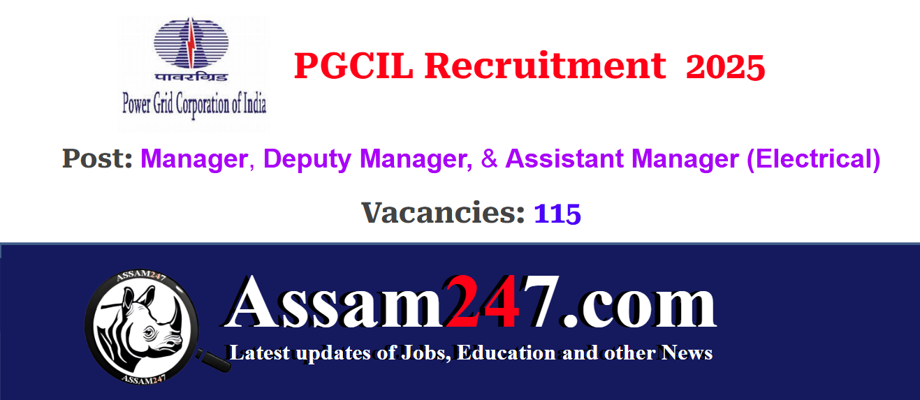 PGCIL Recruitment 2025 – Apply Online for 115 Executive Posts